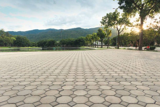 Best Decorative Driveway Pavers  in Pelican Bay, FL